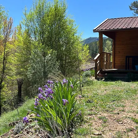Garrote Gordo Campsite *